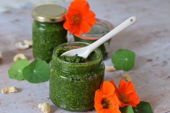 Pesto mit Kapuzinerkresse